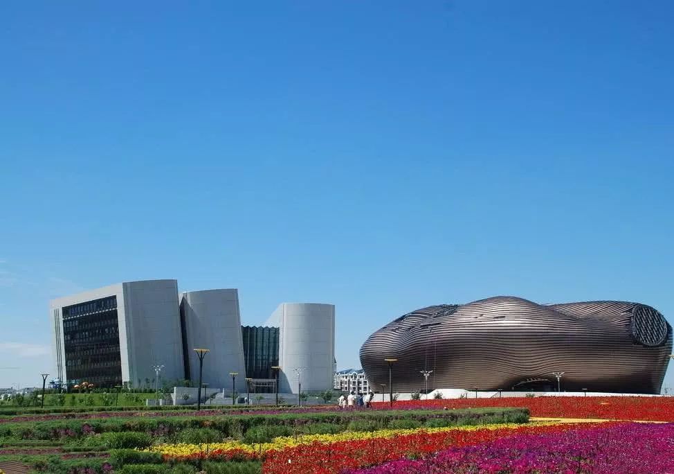 鄂尔多斯盛会,嘉宾云集,观众热情如火