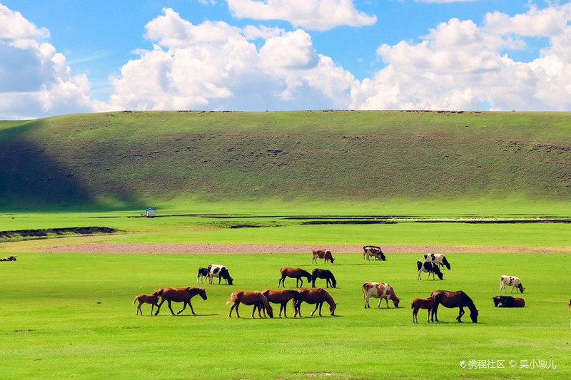 呼伦贝尔,生态明珠与多元文化交融的璀璨之地